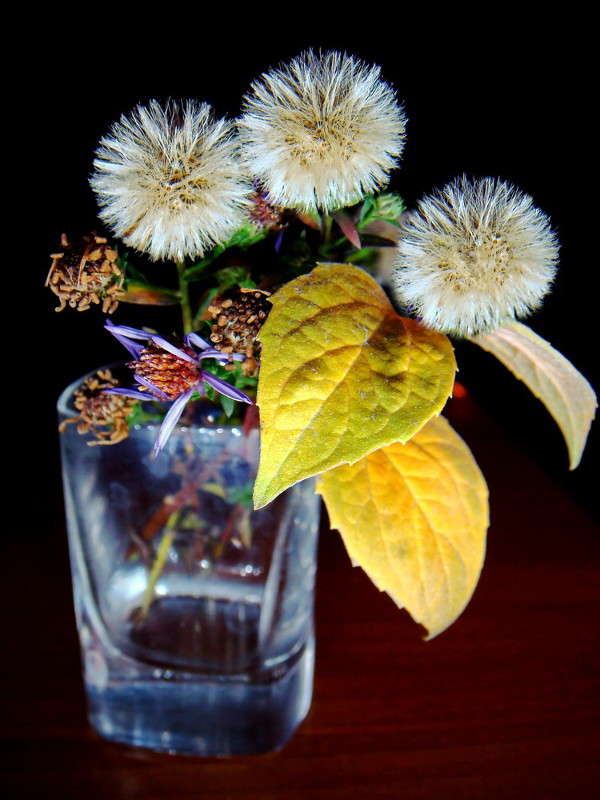 ������� ��������� ����� ������ ���� �� PhotoGeek.ru #���������