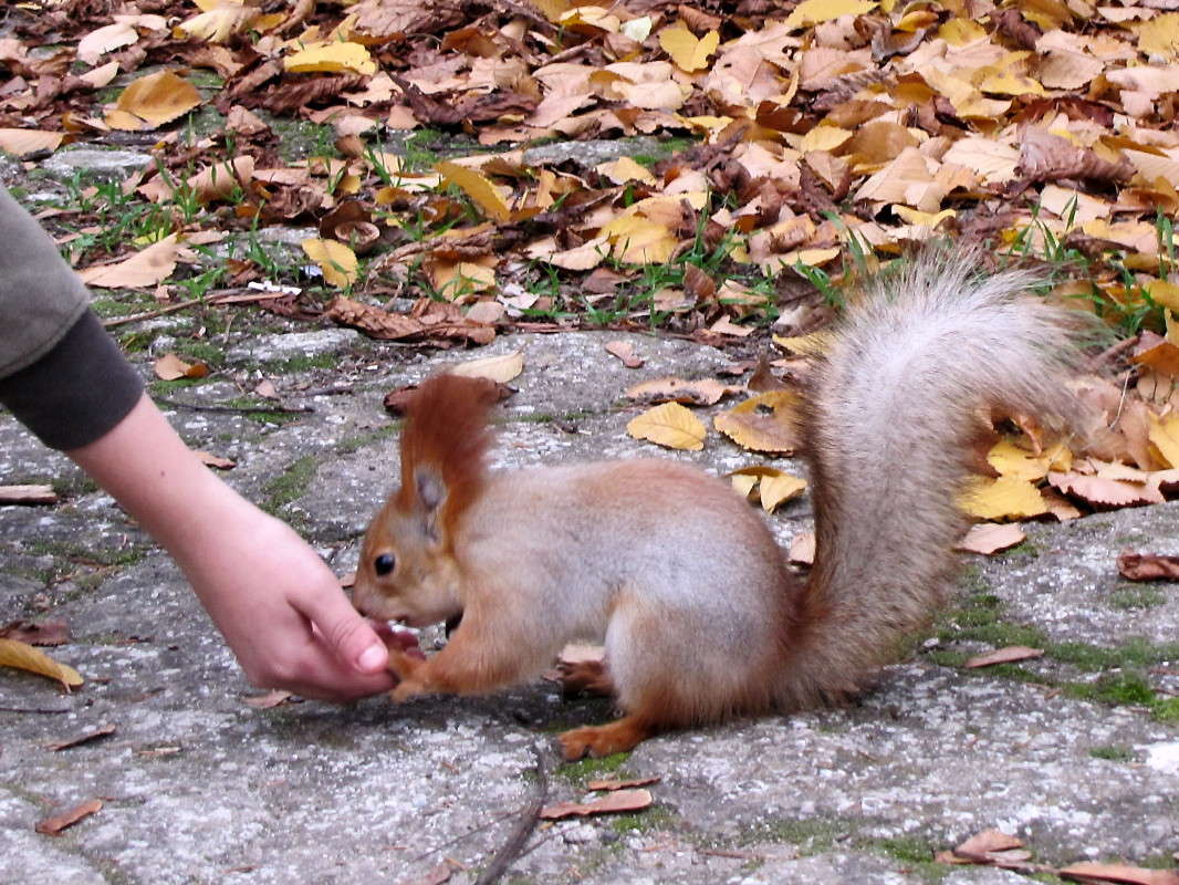 ������� (���� �� �����) ����� ������ ���� �� PhotoGeek.ru #�������� ���