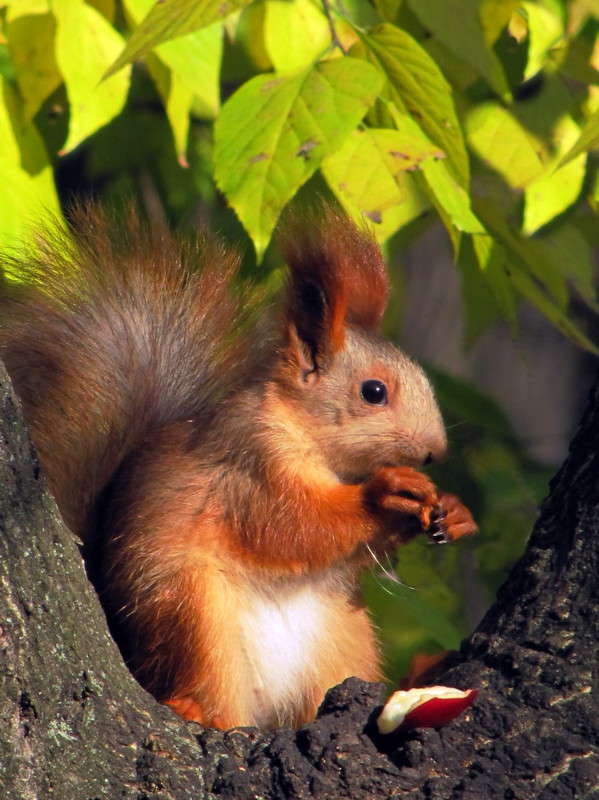 ������� ������� ����� ������ ���� �� PhotoGeek.ru #�������� ���