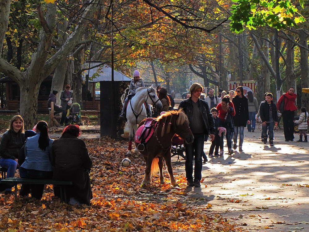 � ����� ����� ������ ���� �� PhotoGeek.ru #�������� ����������