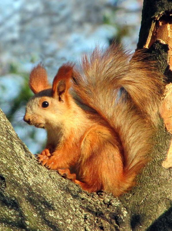 ��������� ����� ������ ���� �� PhotoGeek.ru #�������� ���