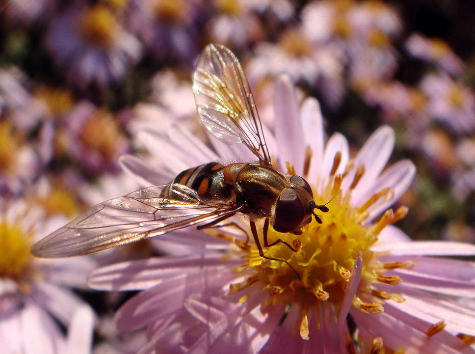 � ������� ����� ������ ���� �� PhotoGeek.ru #�����