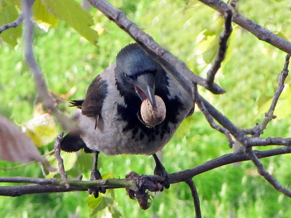 ���� ������ ����� ������ ���� �� PhotoGeek.ru #�������� ���