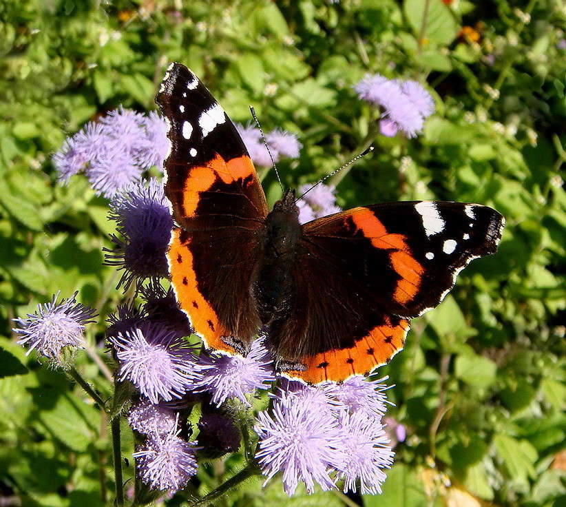 ������� ����� ������ ���� �� PhotoGeek.ru #�����