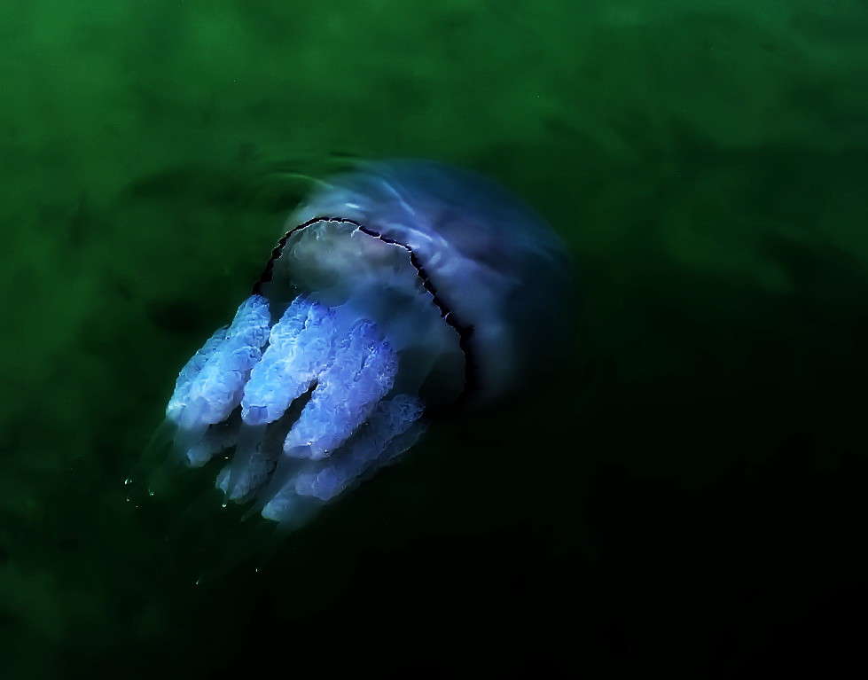 ������������ ������ ����� ������ ���� �� PhotoGeek.ru #�������� ���