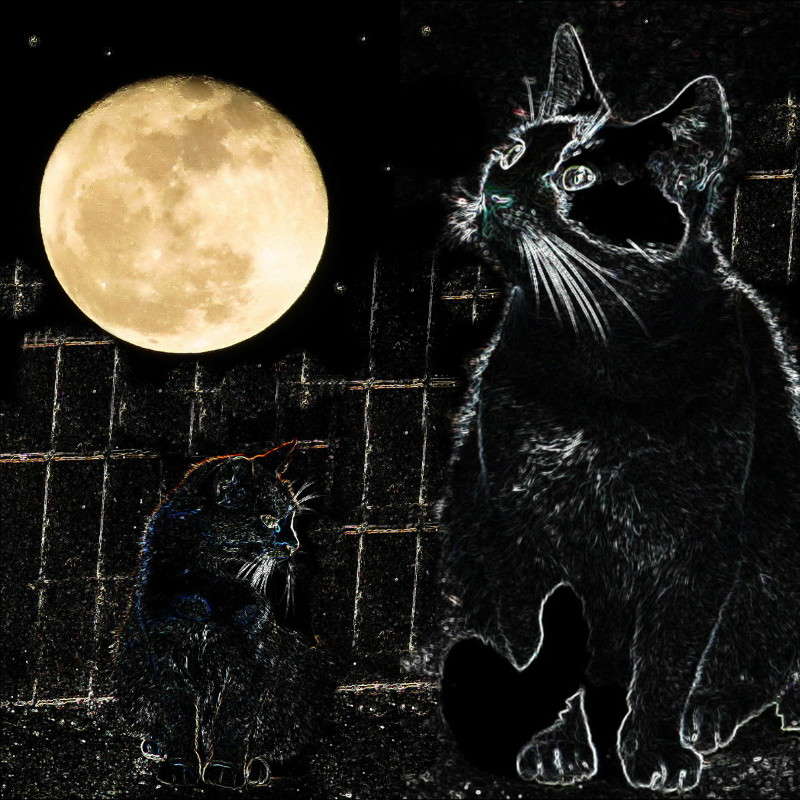 ���������� ����� ������ ���� �� PhotoGeek.ru #������