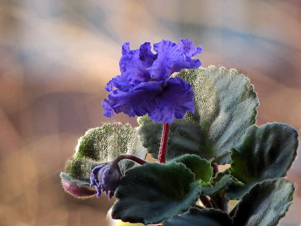 ������ ����� ������ ���� �� PhotoGeek.ru #���� ������