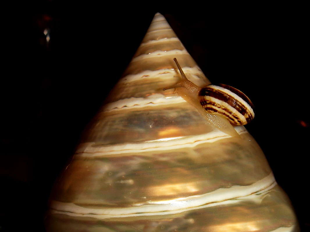 ******** ����� ������ ���� �� PhotoGeek.ru #�������� ���