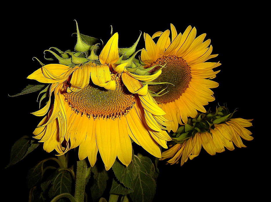 �������� �������� ����� ������ ���� �� PhotoGeek.ru #����� ����������