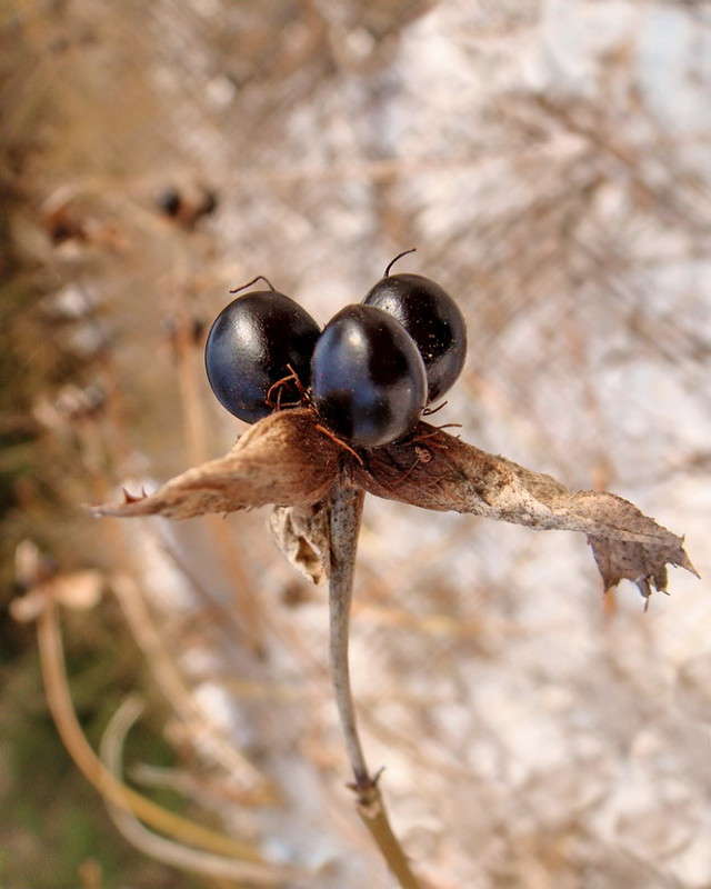 ������ ����� ������ ���� �� PhotoGeek.ru #����� �����