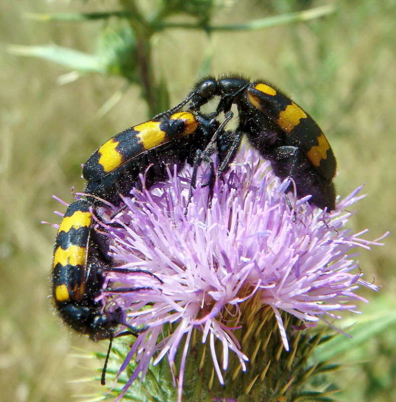 ���� ����� ������ ���� �� PhotoGeek.ru #�����