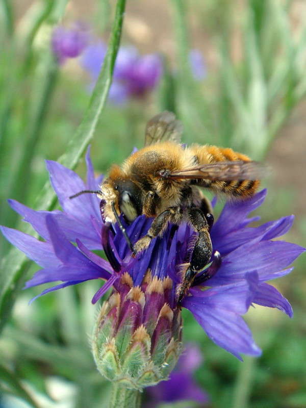 **** ����� ������ ���� �� PhotoGeek.ru #�����