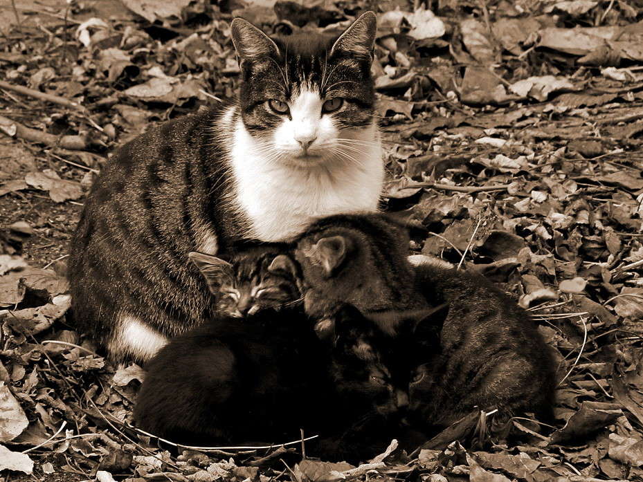 ��������� ��������� ����� ������ ���� �� PhotoGeek.ru #�������� ���