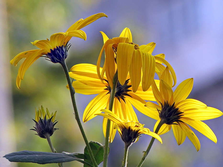 ����� ���������� ����� ������ ���� �� PhotoGeek.ru #����� �����