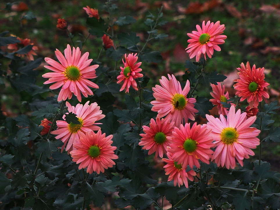 ����� ������� �� ������� ����� ������ ���� �� PhotoGeek.ru #����� �����