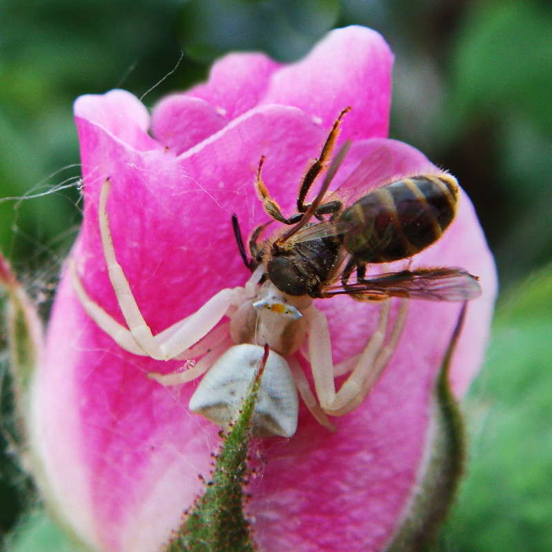 ���� � ��� ������ ����� ������ ���� �� PhotoGeek.ru #�����