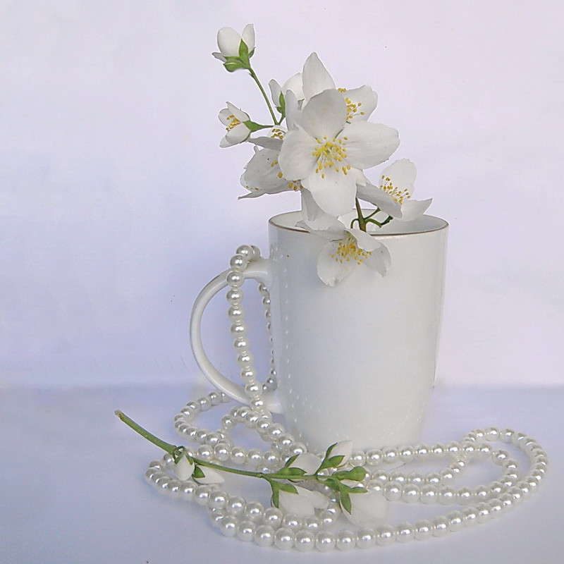 �������� ����� ������ ���� �� PhotoGeek.ru #���������