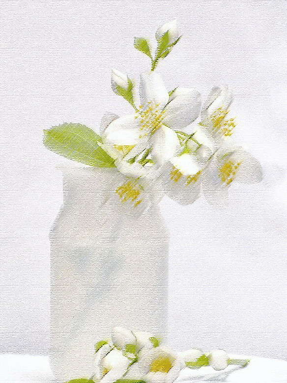 ������� ������� ����� ������ ���� �� PhotoGeek.ru #���������