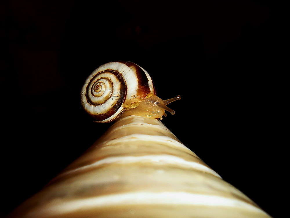 �� ������� ����� ������ ���� �� PhotoGeek.ru #�������� ���