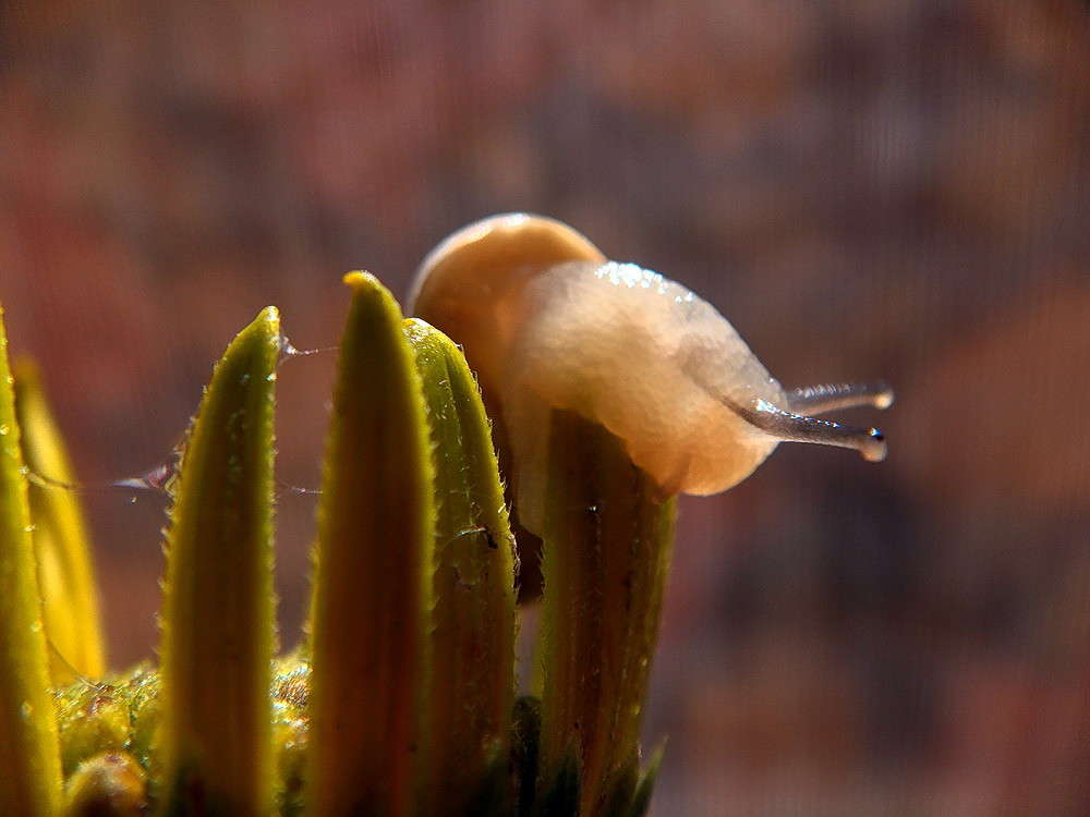 �� �������� ����� ������ ���� �� PhotoGeek.ru #�������� ���