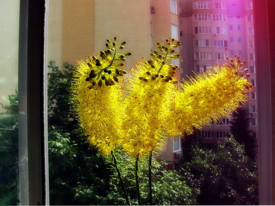 ������ ���������� ����� ������ ���� �� PhotoGeek.ru #���������