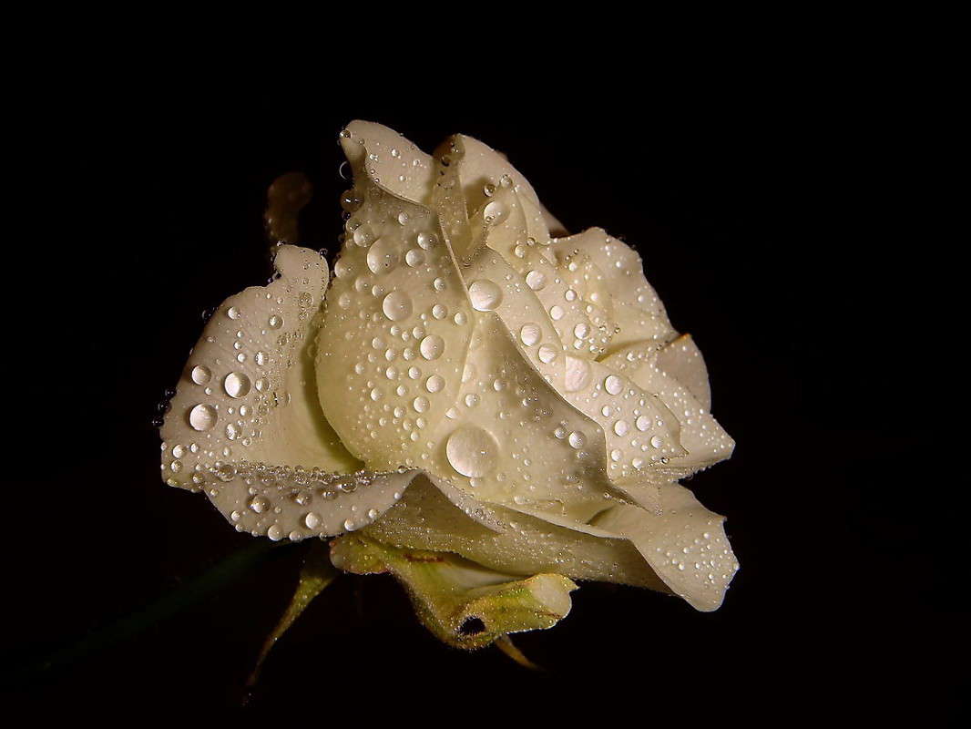 � �������� ����� ������ ���� �� PhotoGeek.ru #�������� ����������