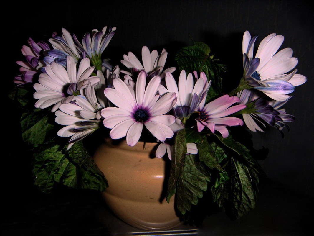 ����������� ������� ����� ������ ���� �� PhotoGeek.ru #���������