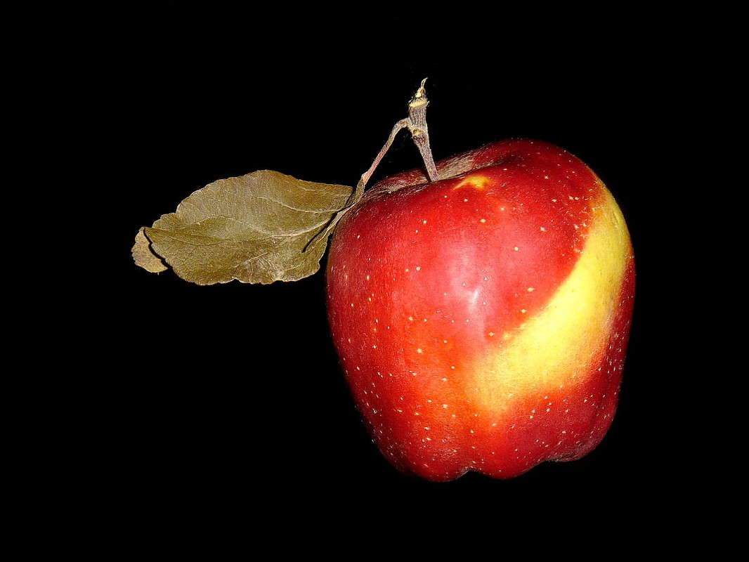 ��� ���������� � ������ ����� ������ ���� �� PhotoGeek.ru #�������� ����������