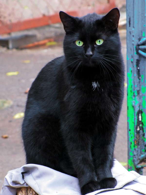 ������������ ����� ������ ���� �� PhotoGeek.ru #�������� ���