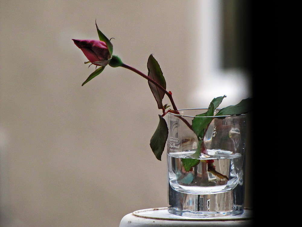 ������ ����� ������ ���� �� PhotoGeek.ru #���������