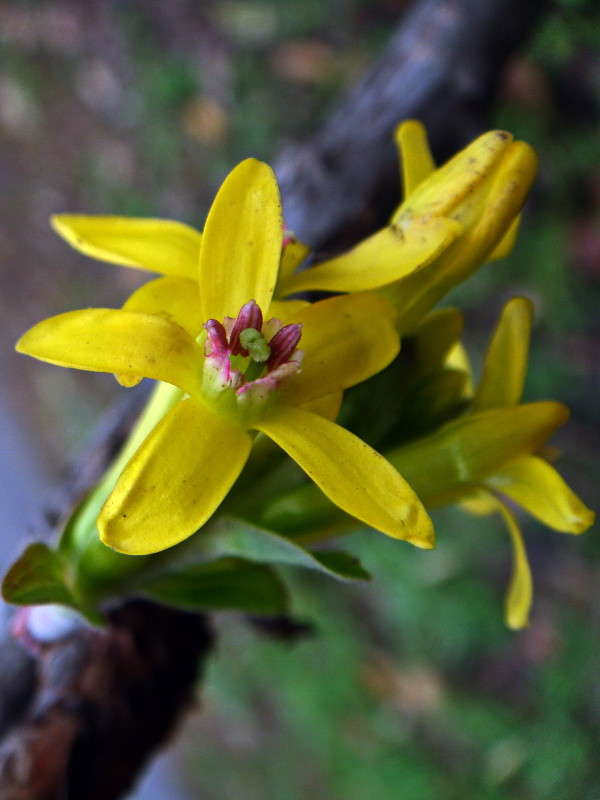 ��������� ������� ������... ����� ������ ���� �� PhotoGeek.ru #�������� ����������