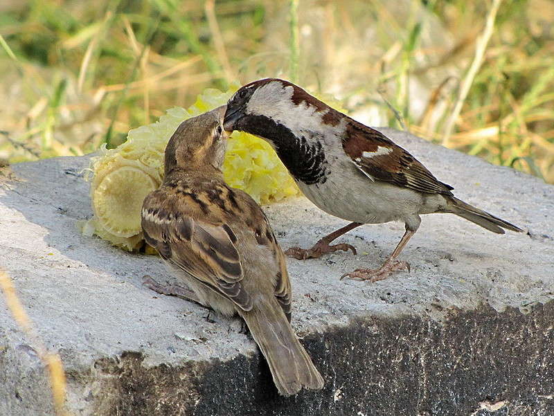 ���������� ���� ����� ������ ���� �� PhotoGeek.ru #�������� ���