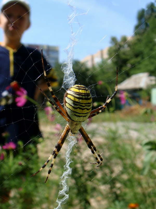 ��� ��� �������! ����� ������ ���� �� PhotoGeek.ru #�����