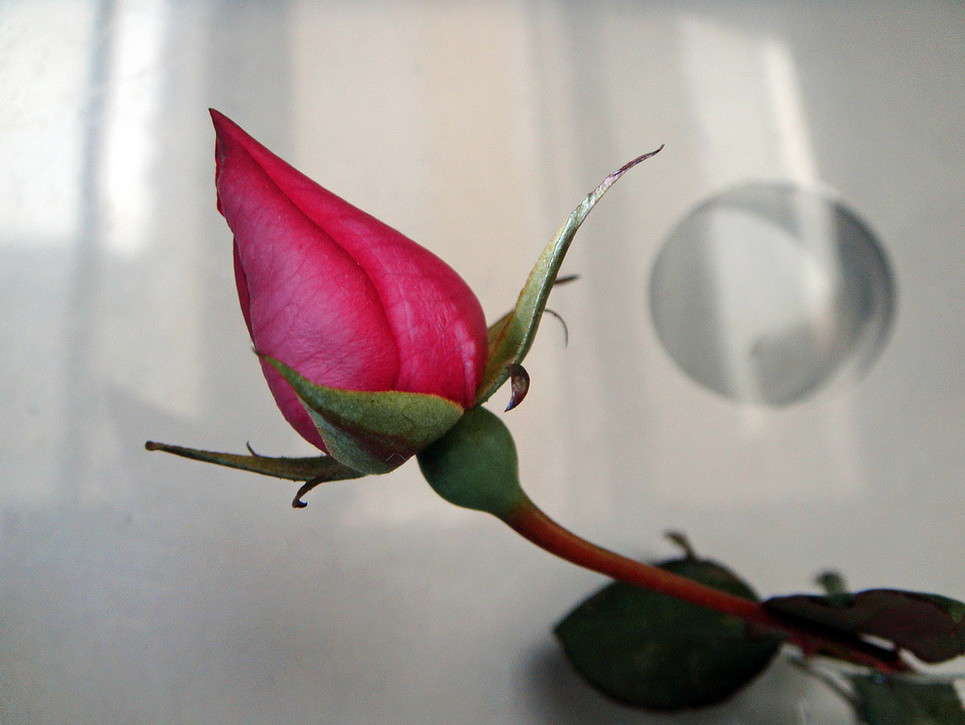 ����� ����� ������ ���� �� PhotoGeek.ru #�������� ����������