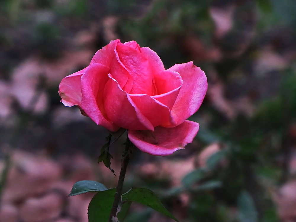 ��������� ���� ����� ������ ���� �� PhotoGeek.ru #������ ���� ����