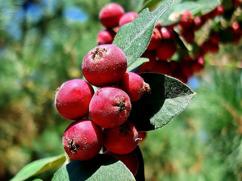 "�������" ����� ������ ���� �� PhotoGeek.ru #������ ��� �������