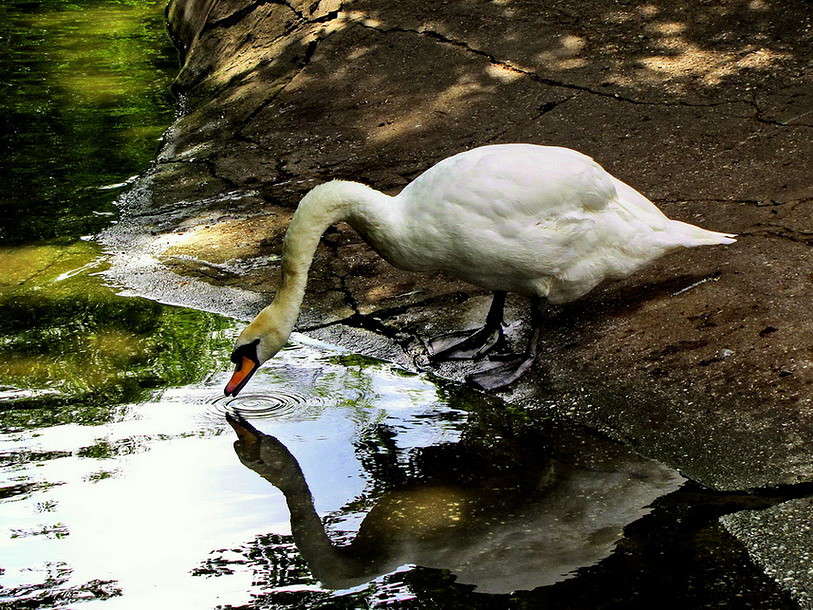 � �� �� ����� ���� �����? ����� ������ ���� �� PhotoGeek.ru #�������� ���