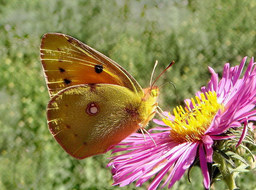 ������ ������� ����� ������ ���� �� PhotoGeek.ru #�����