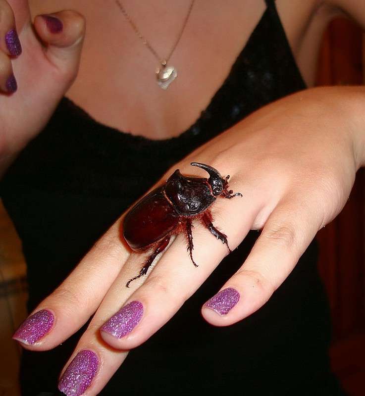 ��� ����� ������ ���� �� PhotoGeek.ru #�������� ����������