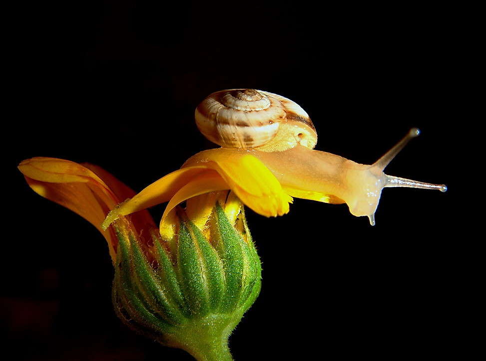 ����������... ����� ������ ���� �� PhotoGeek.ru #�������� ���