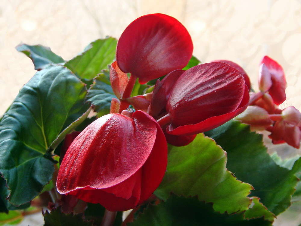 ������� ����� ������ ���� �� PhotoGeek.ru #���������