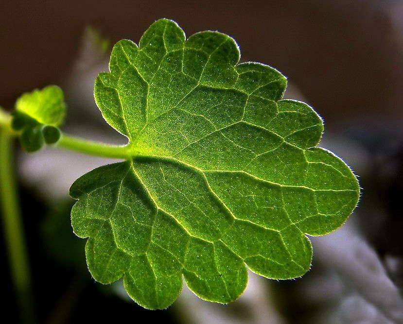 ������ ����� ������ ���� �� PhotoGeek.ru #�����