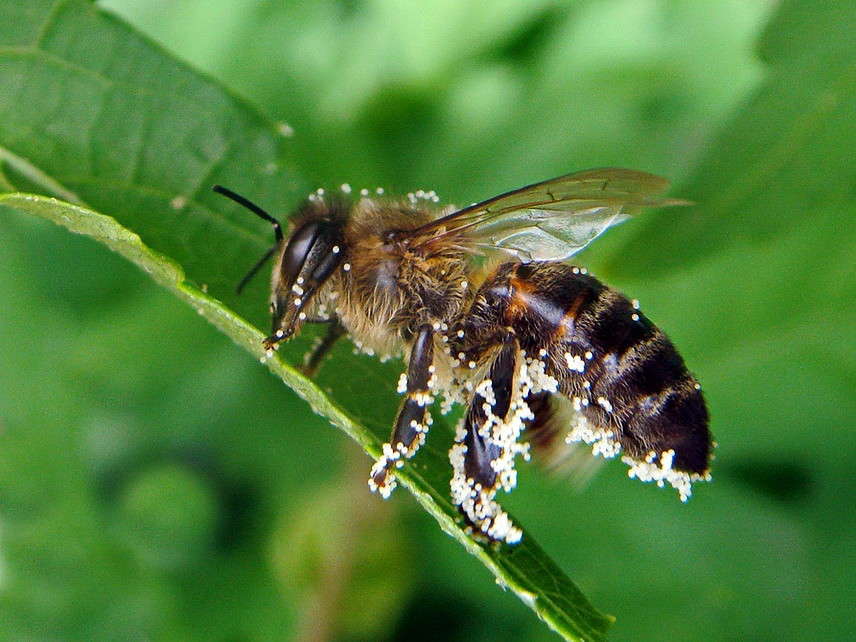 ��������� ����� ������ ���� �� PhotoGeek.ru #�����