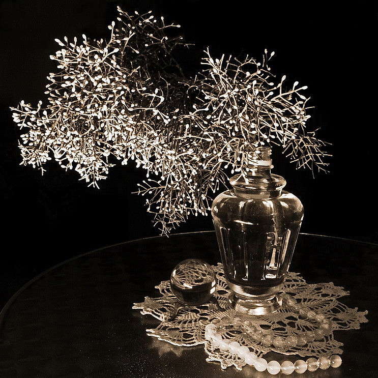 ������� ������������� ����� ������ ���� �� PhotoGeek.ru #���������