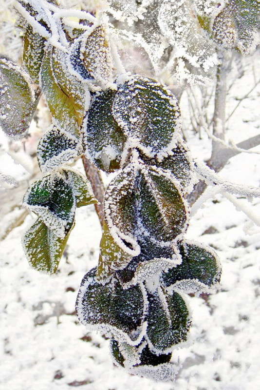 ������ ��������� ����� ������ ���� �� PhotoGeek.ru #������ ��� ������� #���� ������� ����