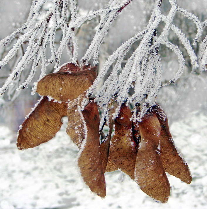 ���� ����� ������ ���� �� PhotoGeek.ru #������ ��� ������� #������� ���� ����