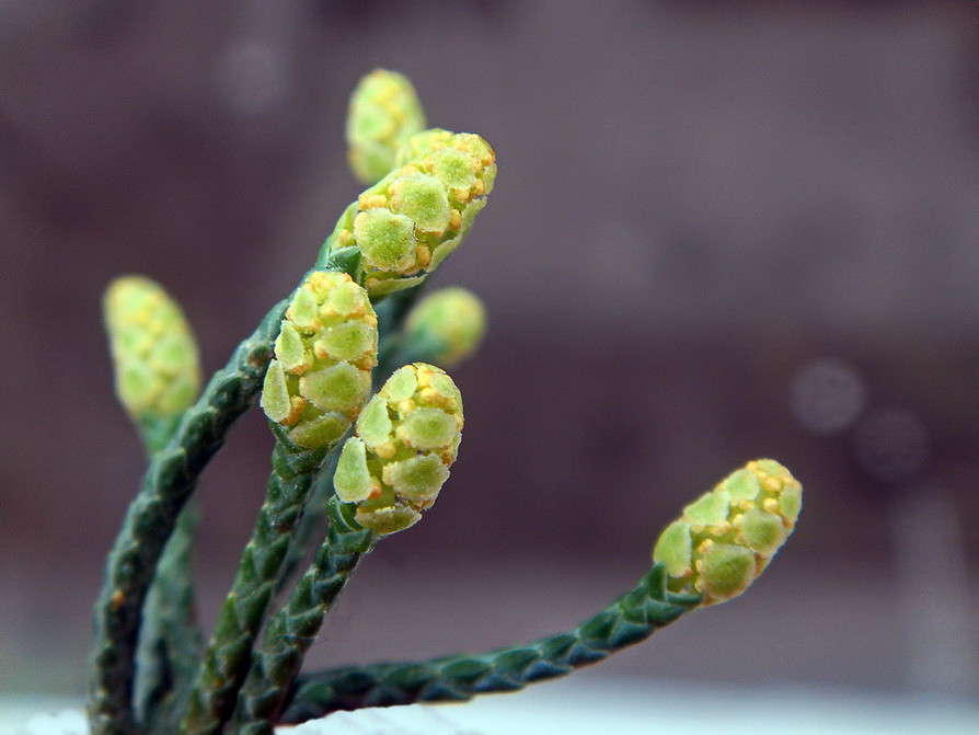 ������ ������������� ����� ������ ���� �� PhotoGeek.ru #����� #������� ������