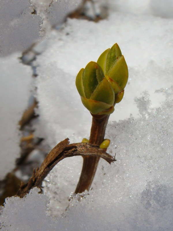 ������� ���� ����� ������ ���� �� PhotoGeek.ru #������ ��� �������