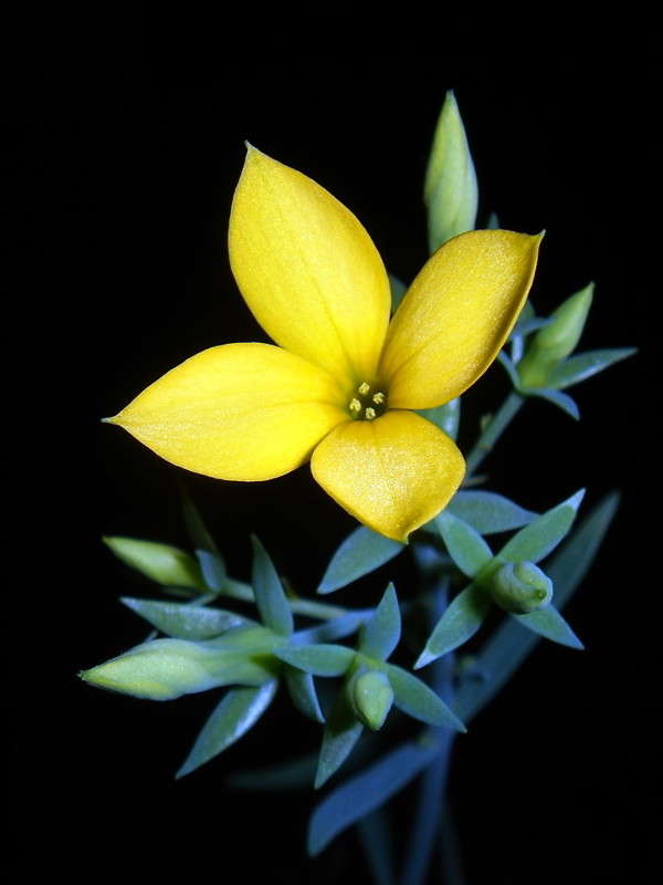 ****** ����� ������ ���� �� PhotoGeek.ru #������ ��� �������