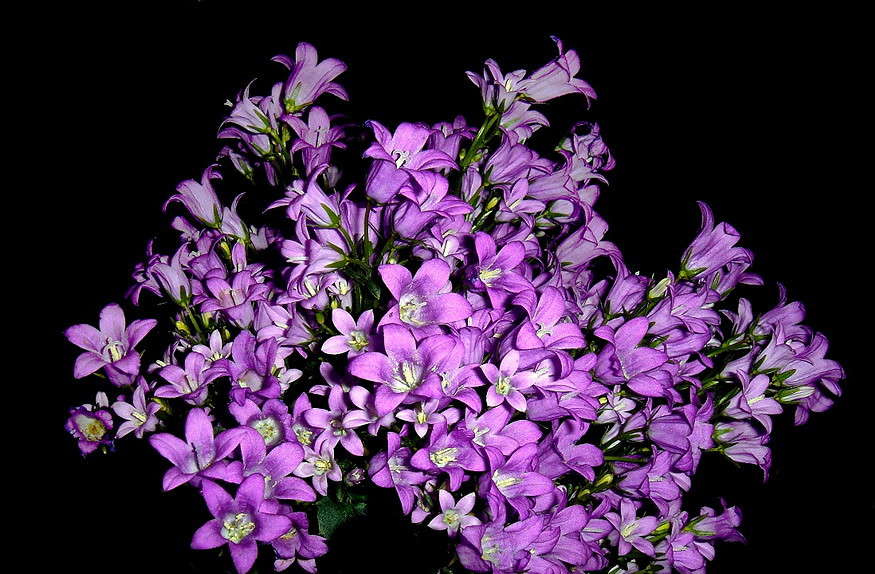 ������������ ����� ������ ���� �� PhotoGeek.ru #������ ��� �������